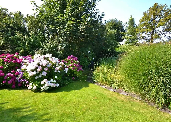 Moewennest